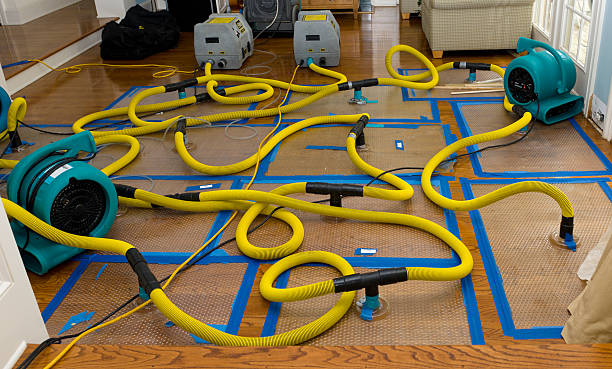 Professional Storm Water Damage Restoration technician working in Goshen, OH
